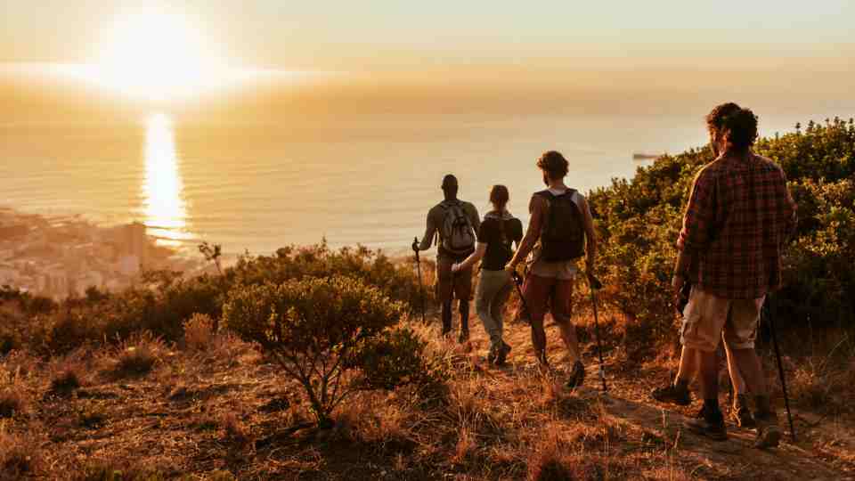 Tick-Borne Encephalitis Vaccine Cost UK